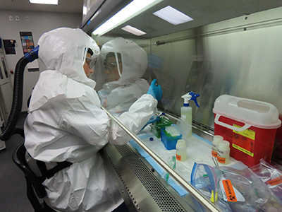 Ricin and Botulinum toxin detector testing performed under the biological safety cabinet and with specialized personal protective equipment