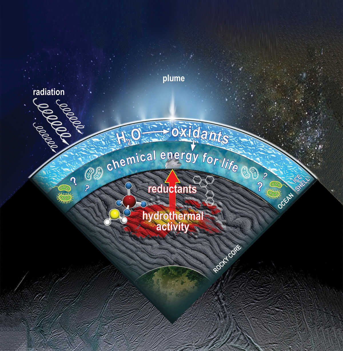 cross section of Enceladus illustrating chemical processes in the subsurface ocean 