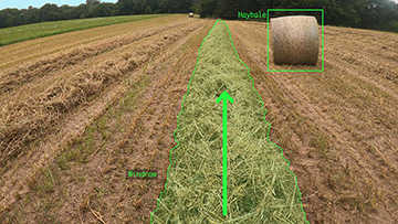 An image with a green square highlighting a haybale and a green rectangle highlighting a windrow.