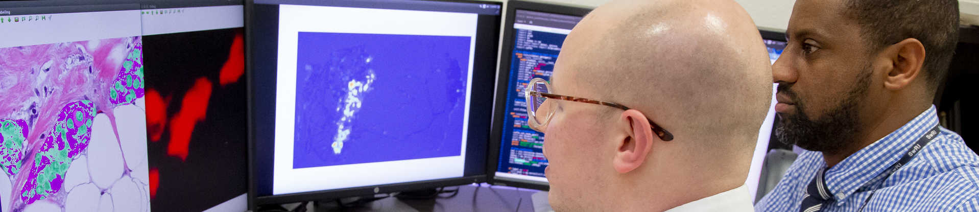 SwRI engineers David Chambers and Donald Poole analyze breast cancer tumor cells
