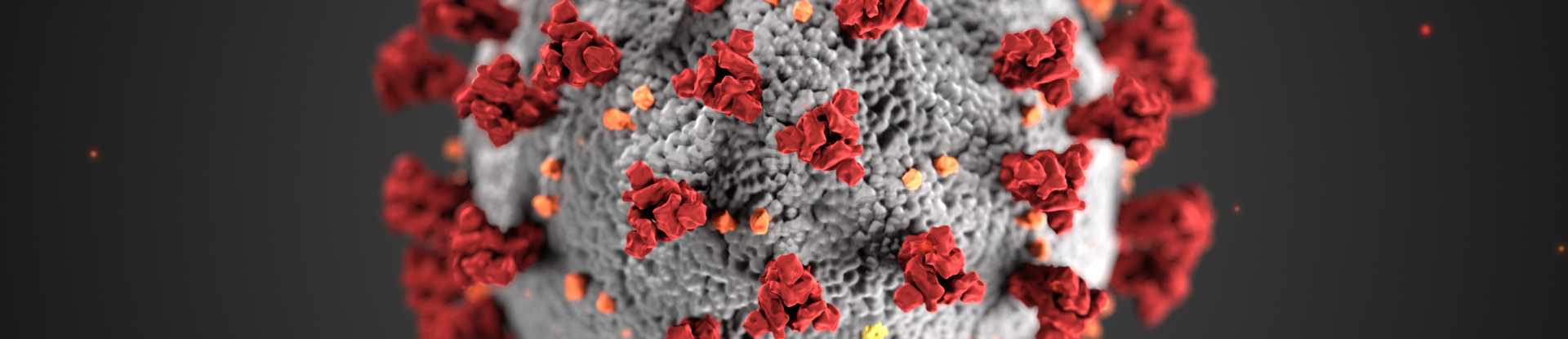 Illustration of the coronavirus outer surface