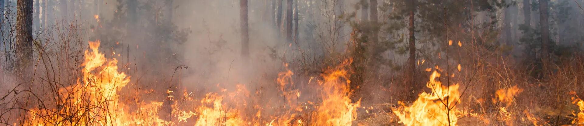 Go to SwRI press release: SwRI develops dynamic framework to better predict wildfires 