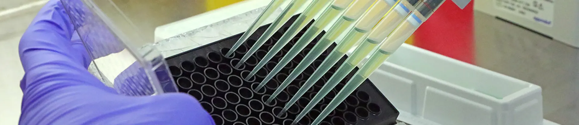 COVID-19 Cytotoxicity Testing by Rhodium 