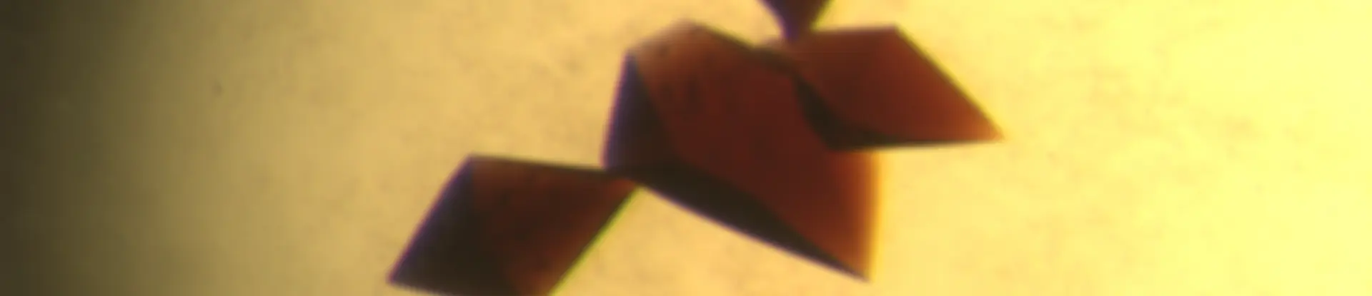 Photo of Rieske proteins in a crystalized form