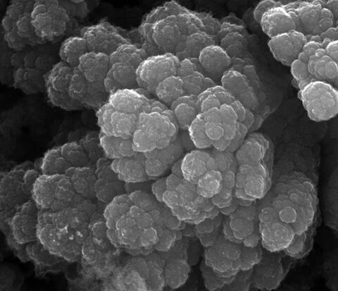 high surface area carbon