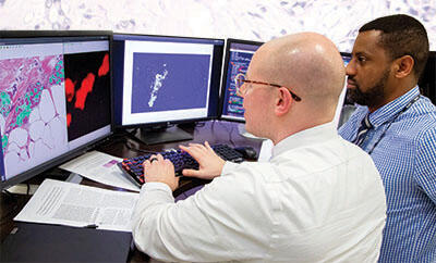 Two engineers (David Chambers, left and Donald Poole, right) sitting in front of 3 computer monitors reviewing images used by the cancer-detecting algorithm they trained
