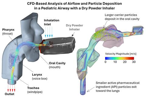 Diagram of cfd-based analysis of airflow and particle deposition