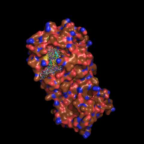 Computer generated 3D model of a SARS-CoV-2 protease