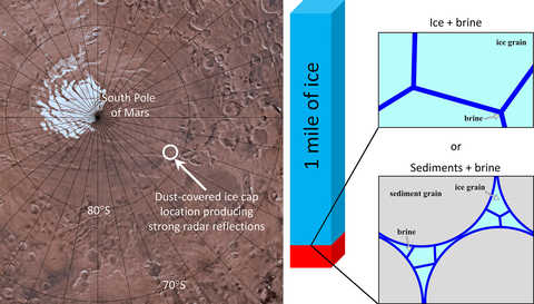 (left) topographical map of Mars south pole; (right) illustration showing placement of brines between grains of ice and sediments