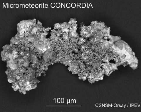 micrometeorite collected in the vicinity of CONCORDIA station 