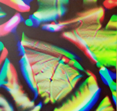 Bicycle in an object detection system