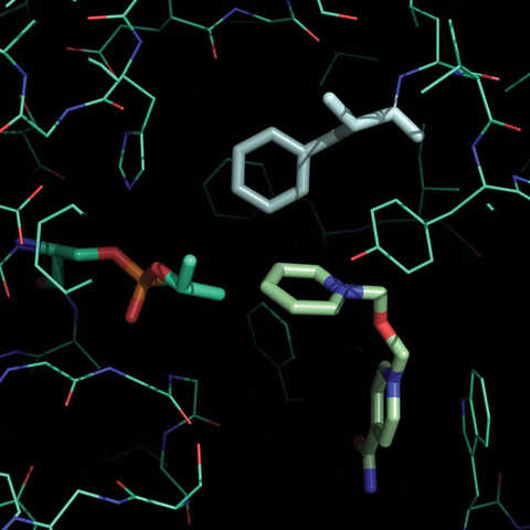 Rhodium screenshot of a 3-D chemical composition