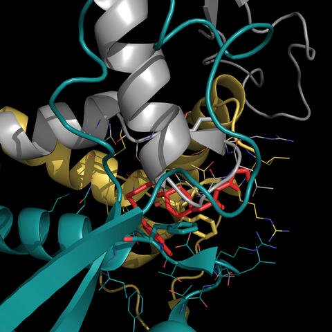 a 10 MWe (megawatt electric) pilot plant for demonstrating supercritical carbon dioxide (sCO2) power cycles