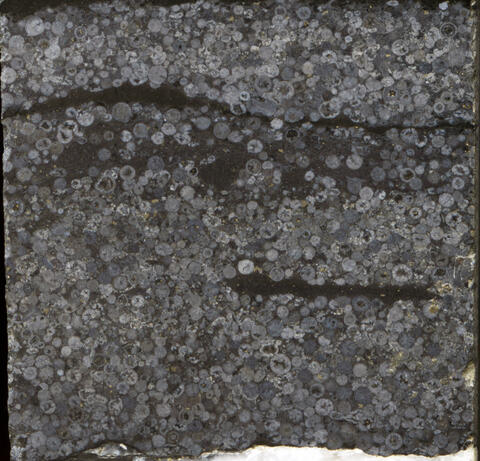 Reivilo spherule layer (RSL)