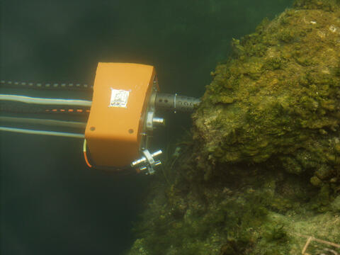 DEPTHX telescoping probe arm