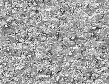 membrane under microscope