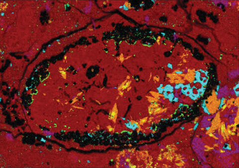 false-color micrograph of the meteorite sample shows the unexpected amphibole crystals