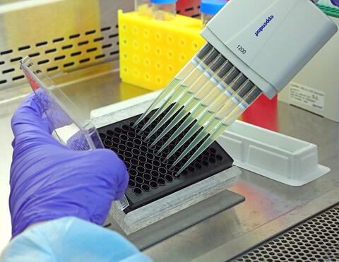 Technology Today Podcast-SwRI’s Dr. Jonathan Bohmann provides an update on his team’s search for a COVID cure