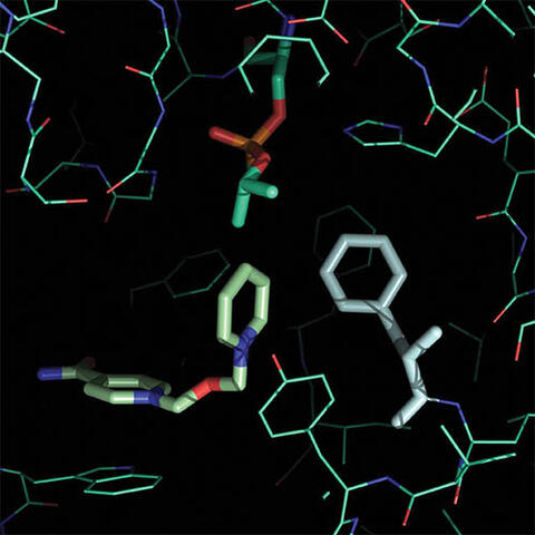 Rhodium Software 3D screenshot 