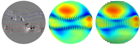 Solar observations of two warped toroid patterns