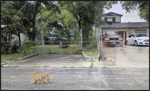 Two dogs being identified with the dog-detection software