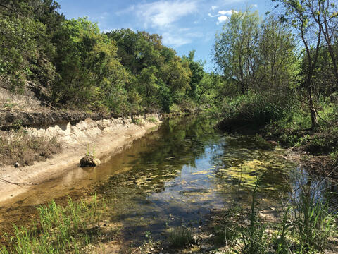 Helotes Creek watershed