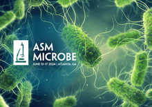 Go to event: American Society for Microbiology (ASM) Microbe