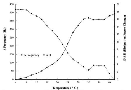 graph illustrating QCM-I assessment of frequency change (solid line) and dissipation factor change (dotted line) for PDEGMA coating on gold 