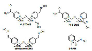 $ Graphic depictions of OPNA Antidotes Neurotransmitters