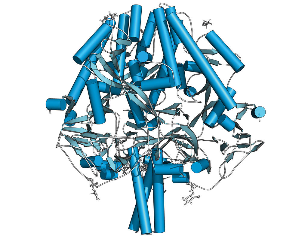 “blueprint” of the measles fusion protein structure