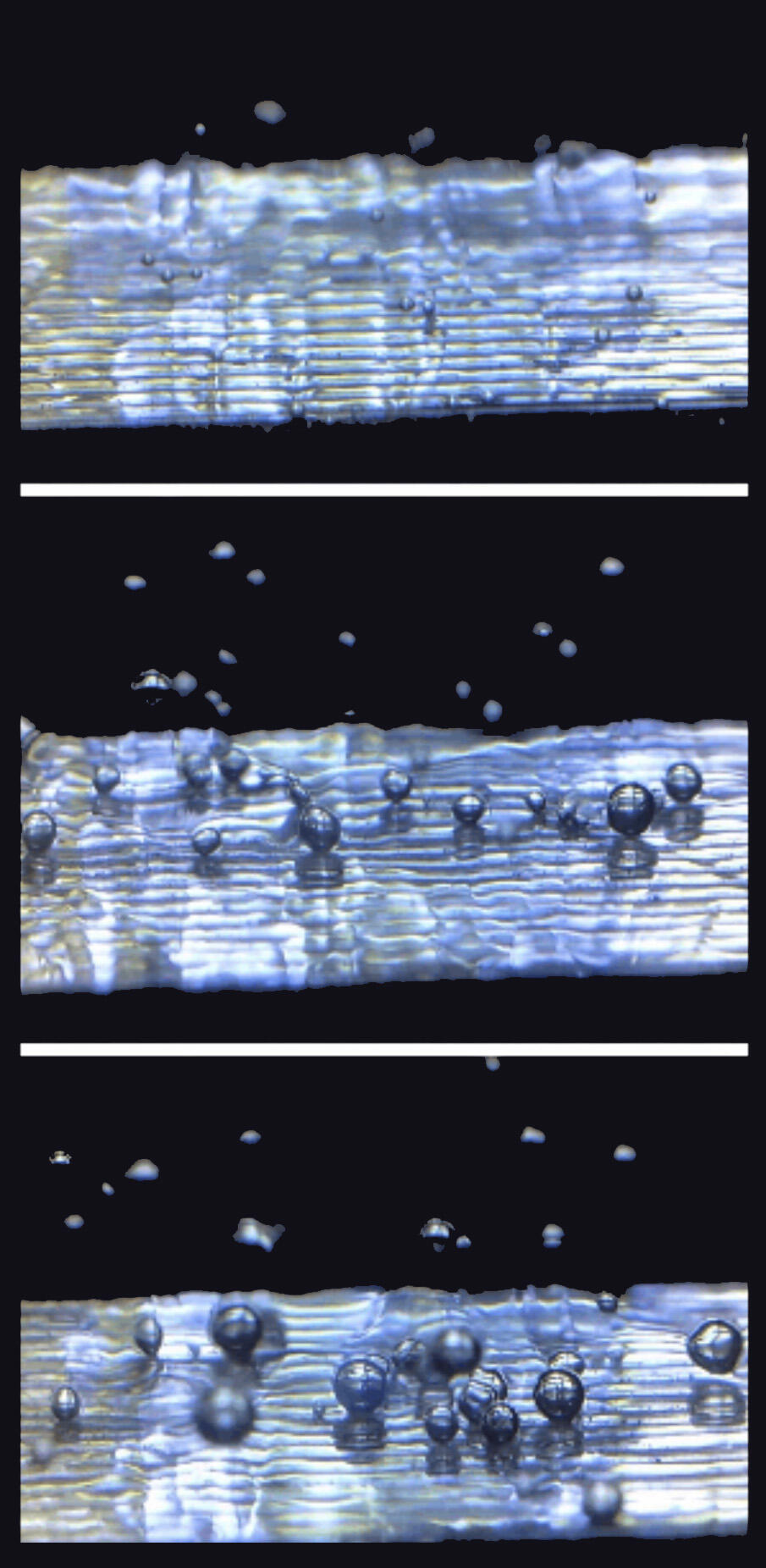 illustrates how gas bubbles evolve at different rates at Earth (top), Martian (middle) and lunar (bottom) gravity