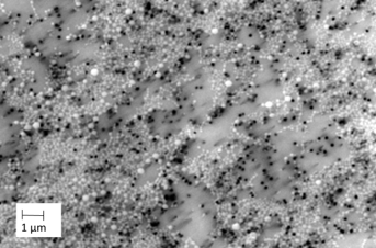 An image showing less than 200 nm nanocapsules