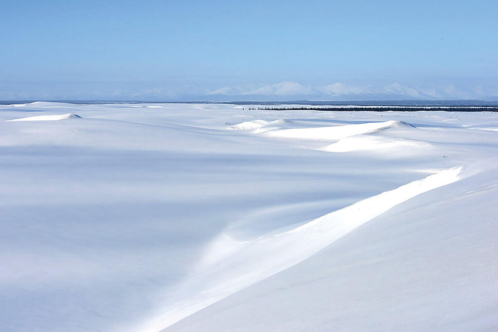 Alaska Arctic Sand Dunes