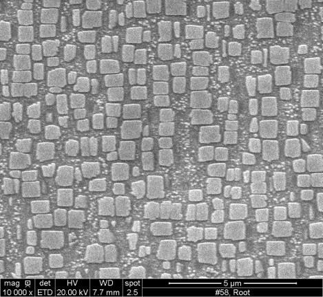 Microscope image of cuboidal structure of a pristine superalloy
