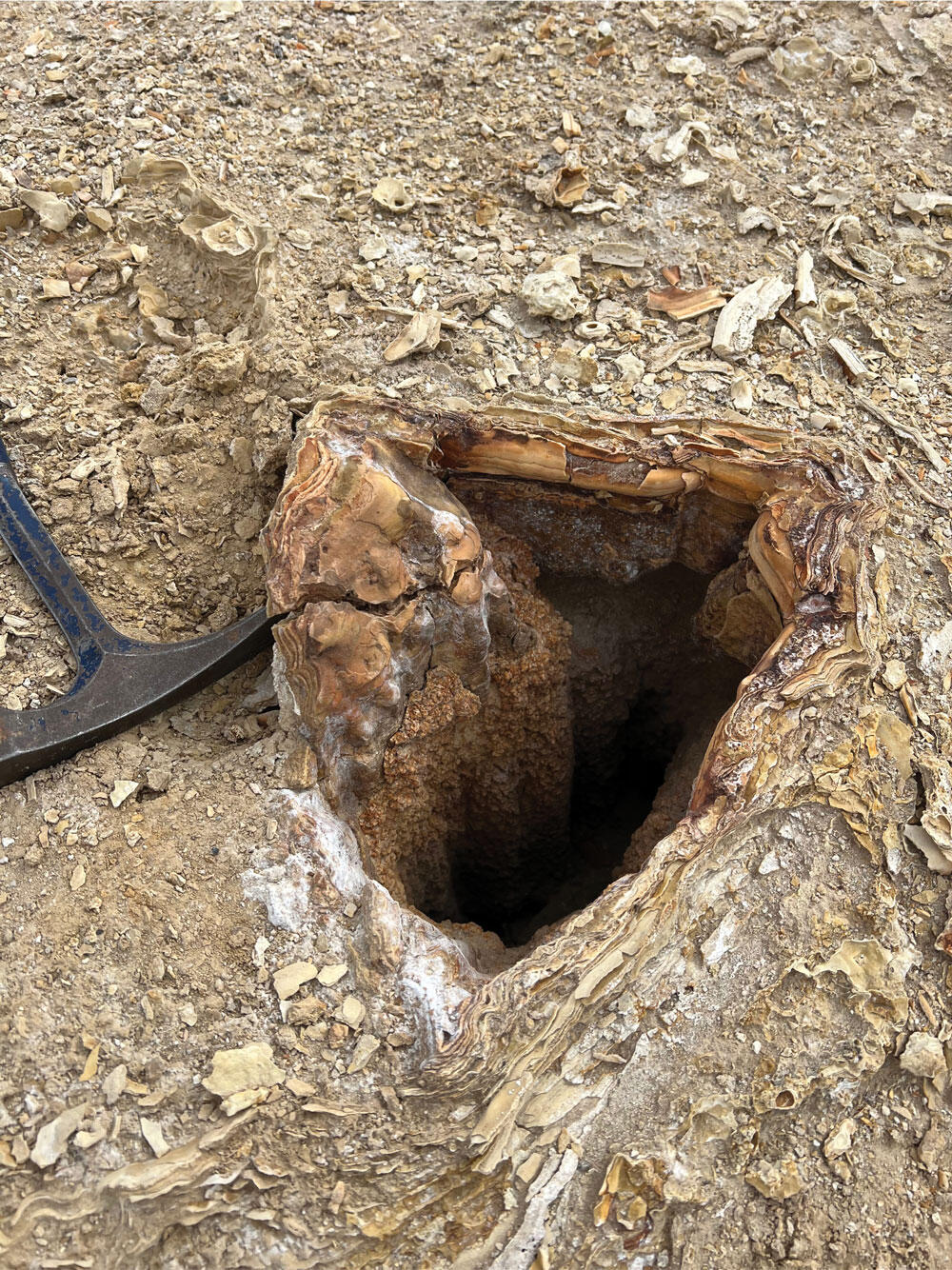 Close up of a fossil hot spring deposit in Clayton Valley