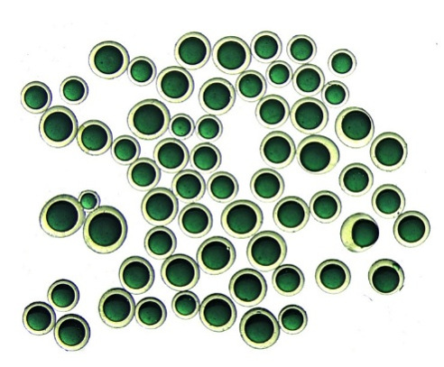 Microencapsulation with coextrusion