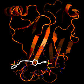 Go to Rhodium white paper