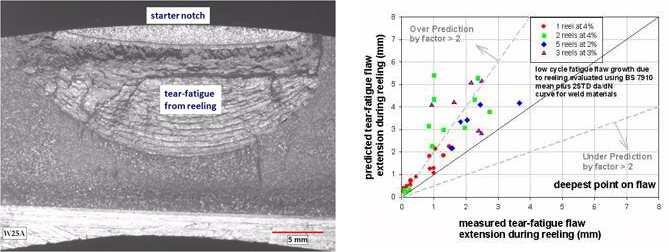 Reeled pipe test results—predicted vs. measured flaw extensions and 