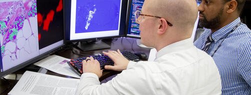 SwRI engineers David Chambers and Donald Poole analyze breast cancer tumor cells