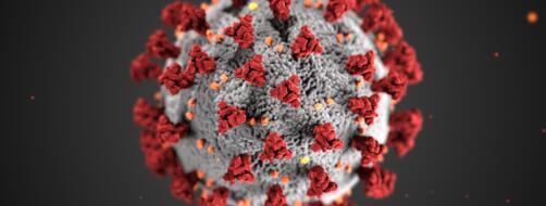 Illustration of the coronavirus outer surface