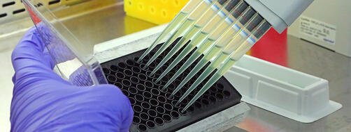 COVID-19 Cytotoxicity Testing by Rhodium 