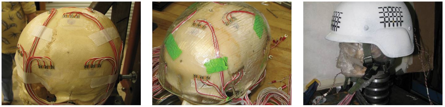 Human head surrogate with embedded instrumentation.