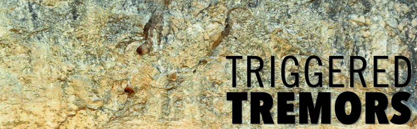 Go to Predicting induced seismicity article