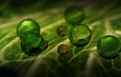 Go to Technology Today Podcast Episode 56: The Mighty Microcapsule