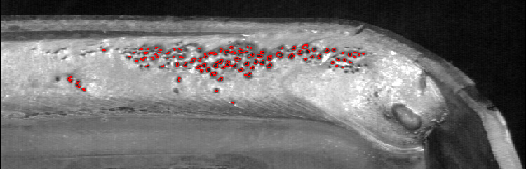 Weld beads have variable characteristics, but pores (red dots) have a dark appearance that can be identified and measured using machine vision algorithms.